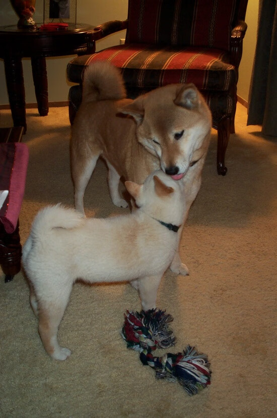 FB体育下载-数字化青少年篮球训练平台引领行业新潮流，个性化培养成主流，篮球青少年训练营