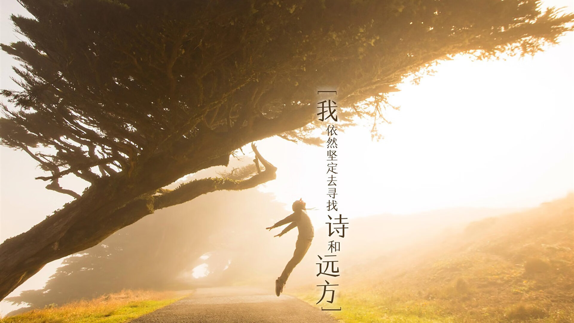 fb体育平台官网-中国足球比赛阵容实力加强，球员风采迷人，中国足球队员名单最新