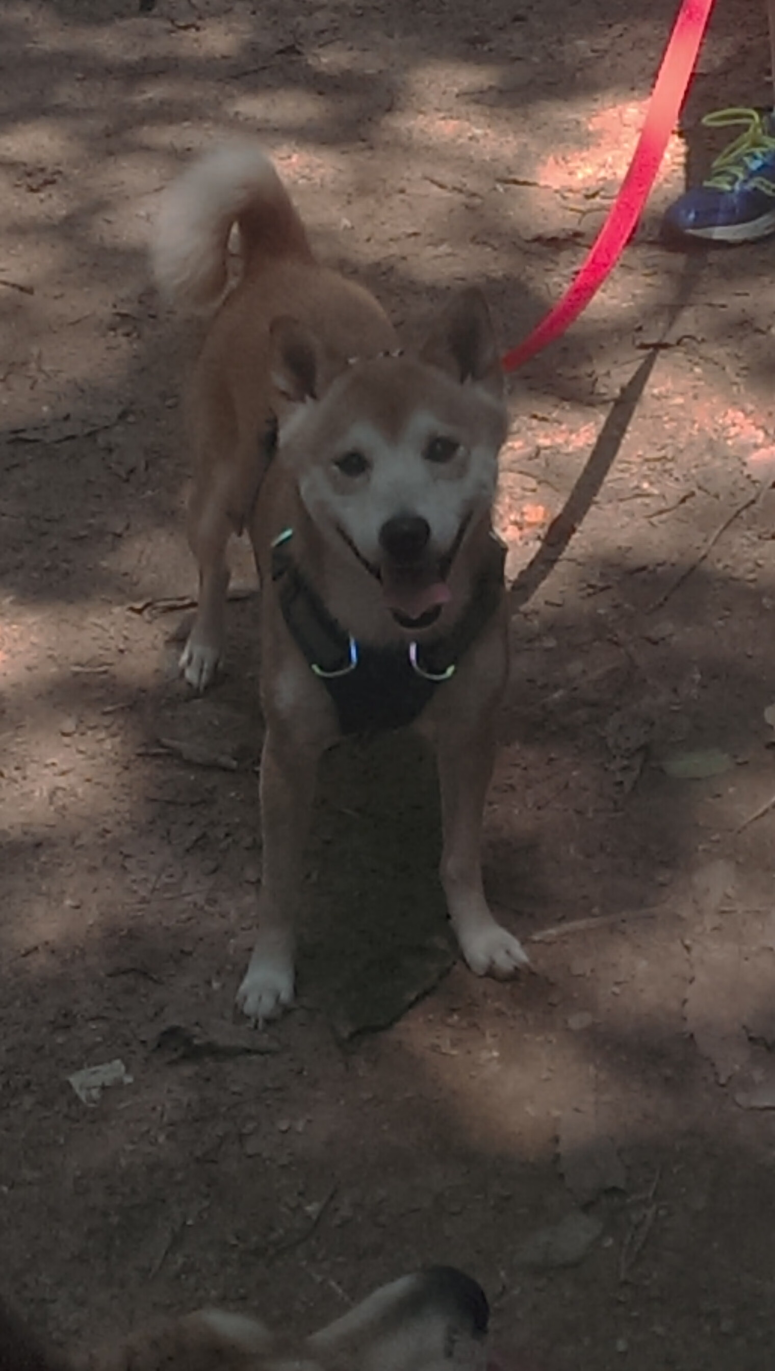 fb体育平台官网-利物浦之王_ 拜仁慕尼黑冲在前头，利物浦vs拜仁慕尼黑次回合