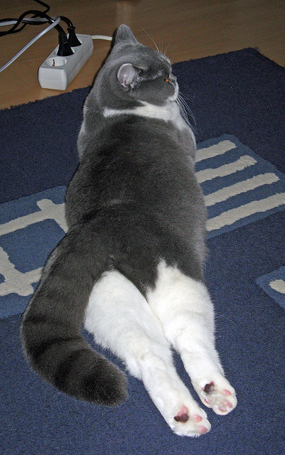 fb体育中国官网-原州东浦新世代关键比赛表现坚韧