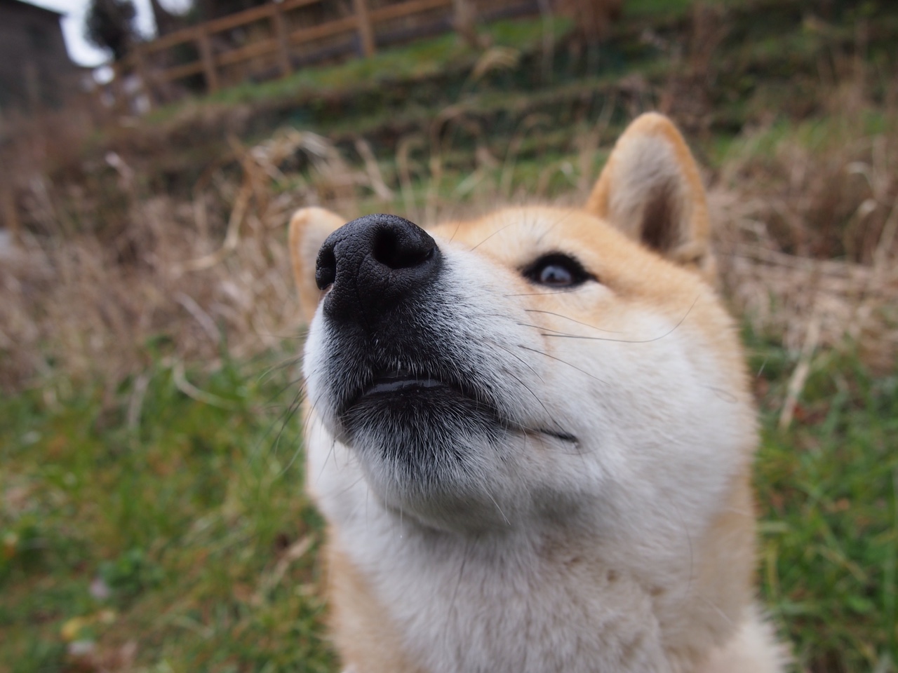 fb体育网页版-巴黎圣日耳曼迎来重要胜利，领先争夺法国顶级联赛冠军，巴黎圣日耳曼几次法甲冠军