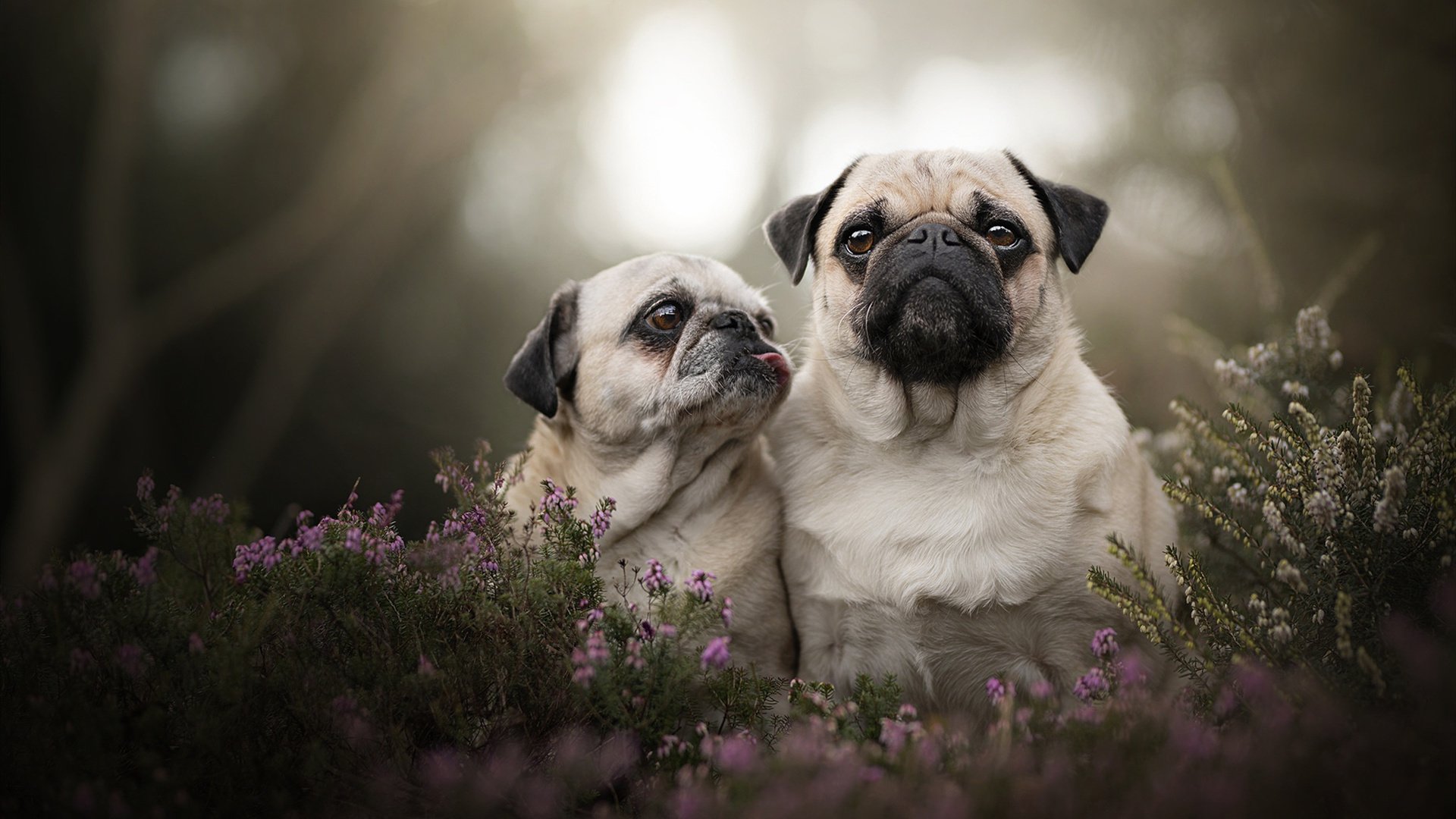 斯洛特在比赛中大胆使用替补球员,保持球队活力,斯洛特耶