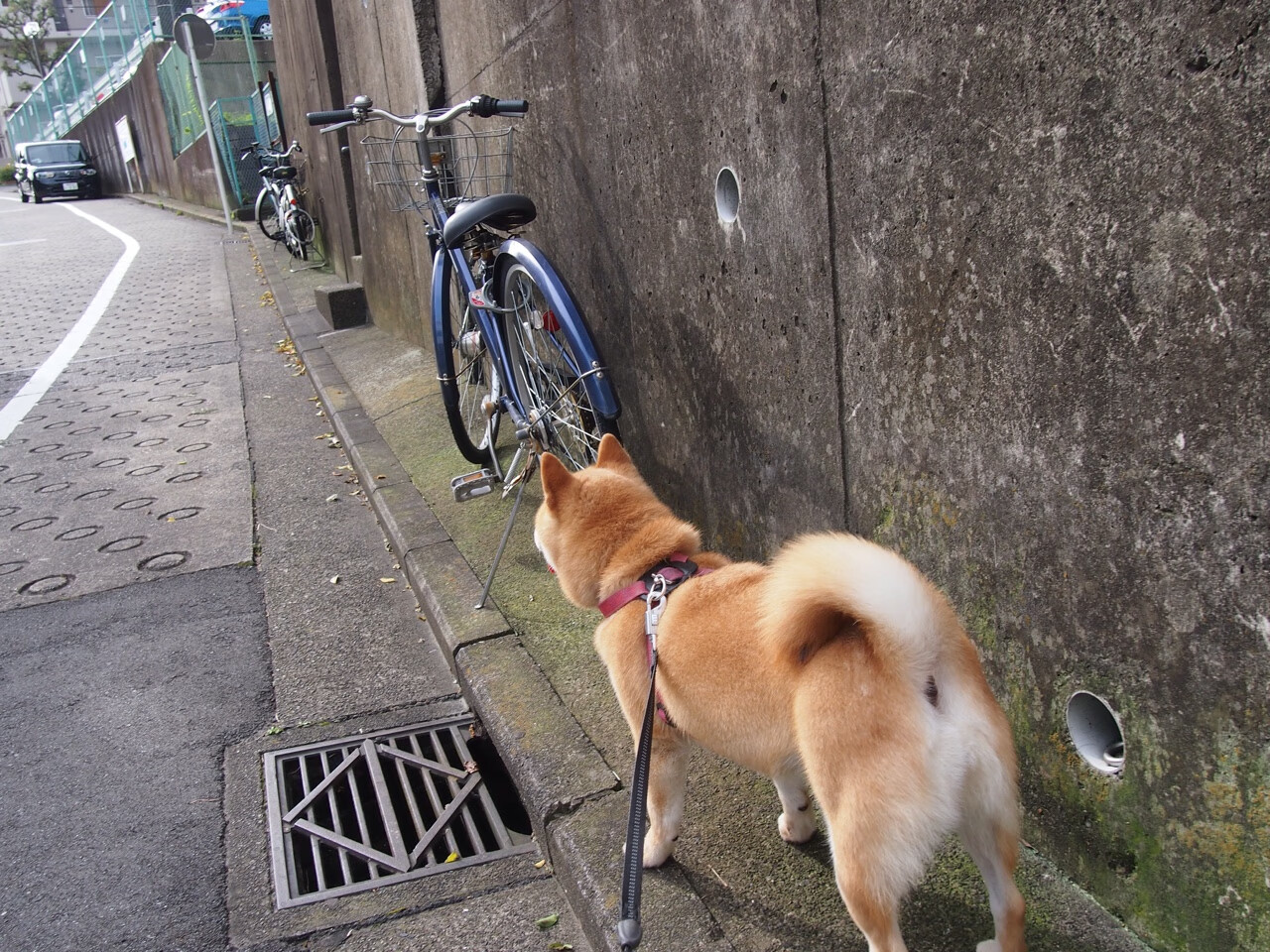 fb体育官网-新疆队士气昂扬，欲登上冠军宝座，新疆队士气昂扬,欲登上冠军宝座