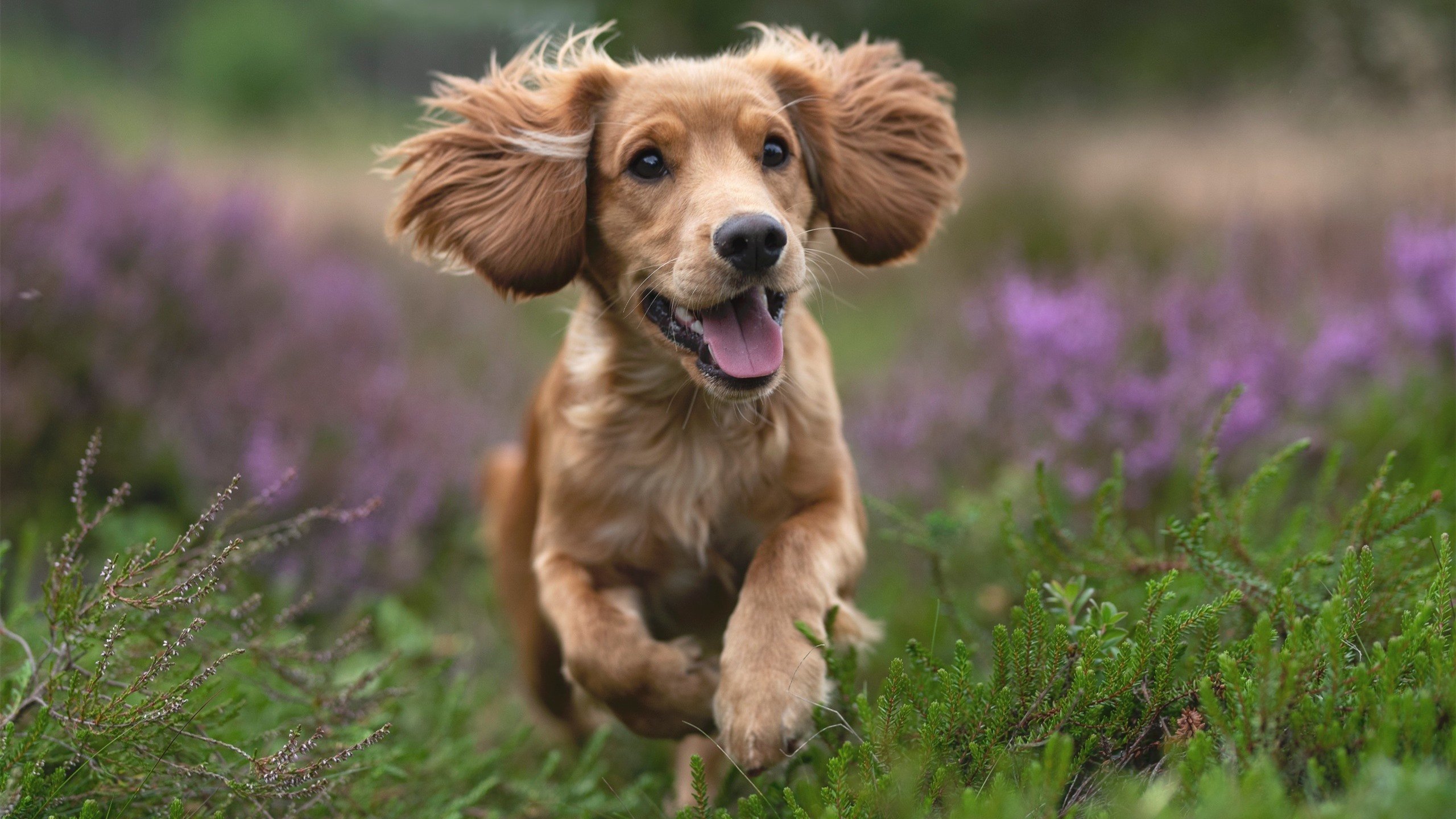 fb体育官网-关键转身技术成团队突破点