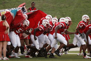 fb体育官网首页-76人球队文化墙正式揭幕展示历史荣誉，76人队图案