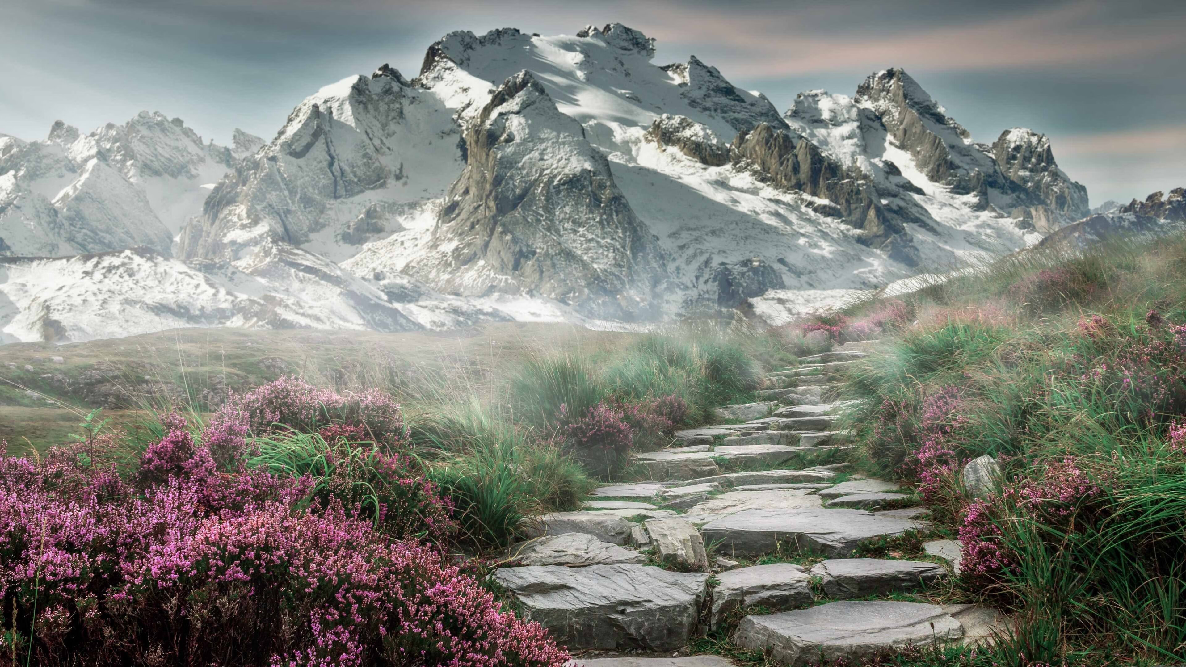 fb体育官网中国-主力缺阵引发阵容变化，六大主力缺阵