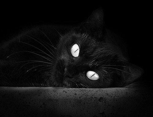 fb体育官网入口-国际裁判培训全面数字化，执法水平再创新高，国际裁判协会