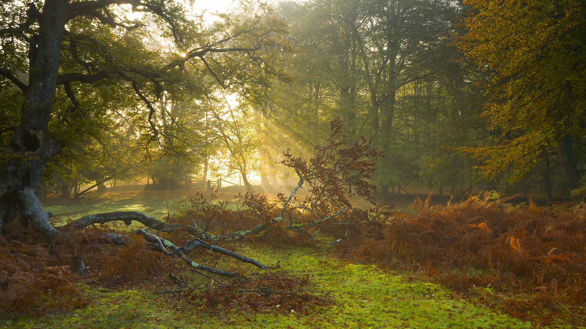fb体育娱乐-英超激烈大战：胜负由你掌控！，英超经典比赛